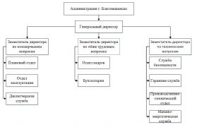 Организационная структура: дипломная работа