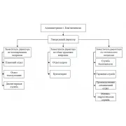 Организационная структура: дипломная работа