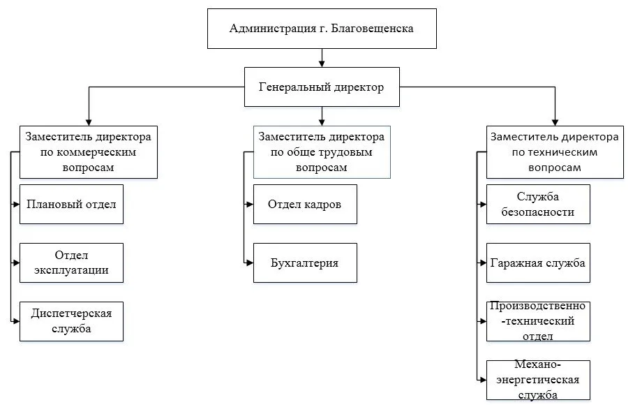 диплом организационная структура