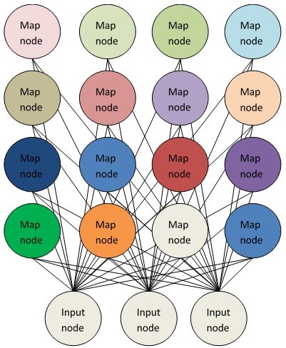 Структура самоорганизующихся карт Кохонена