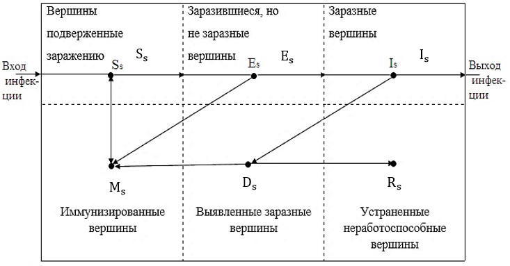 Обобщенная парадигматическая модель эффекта вирусной атаки вершин в однородном слое (микро-фрактал)